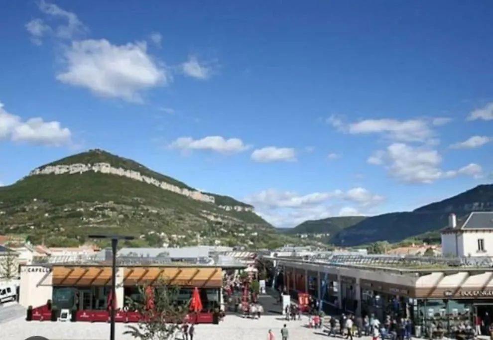 Maison Eugene Centre-Ville Piscine Jardin Fibre Garage Millau Apartment